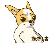 Animation Dog GIF