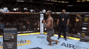 Aljamain Sterling Sport GIF by UFC