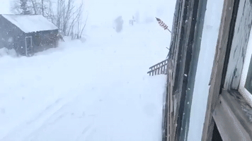 'What a Crazy Day': Heavy Snow Falls in Tanana, Alaska