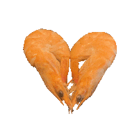 Heart Love Sticker by TheSeafoodBar