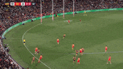 afl round five GIF by Adelaide Crows