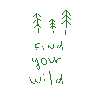 duartekels travel nature wild explore Sticker