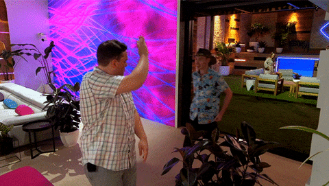 High Five Big Brother GIF by Channel 7