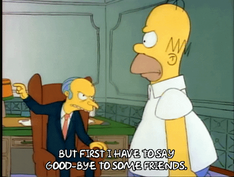 Season 1 Episode 3 GIF by The Simpsons