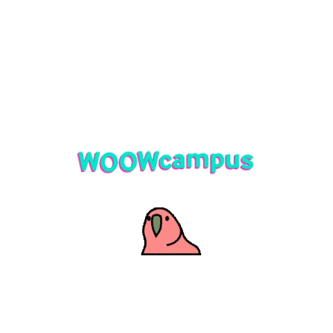 WOOWcampus party woowcampus GIF