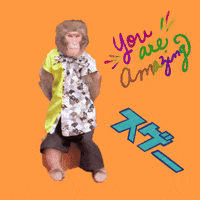Fun Monkey GIF