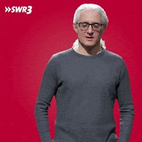 Angry Germany GIF by SWR3
