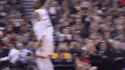 Lets Go Yes GIF by NBA