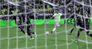 save andre blake GIF by Philadelphia Union