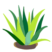 vegan juice Sticker by Vevaloe