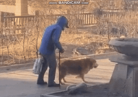 131cd30d506a4beb96d2162ca510593d giphyupload GIF