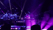 TheRevivalists music concert rock show revivalists GIF