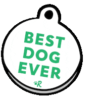 Best Dog Ever Sticker by Rover.com