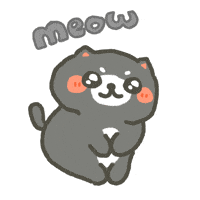 Meow Cute Cat GIF