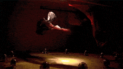 dancin GIF by Digg