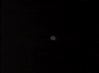echo party GIF