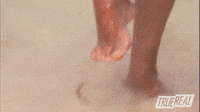 Jellyfish Sting