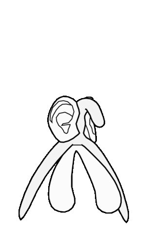 Ears Macarena Sticker by voxxx