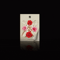 GIF by FM Cosmetics UK