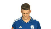 Schalke S04 Sticker by Bundesliga
