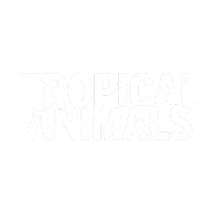 tropical-animals tropical tropical animals tropical firenze Sticker