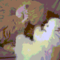 Cat GIF