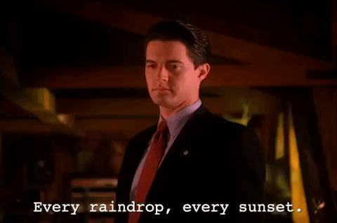 season 2 episode 6 GIF by Twin Peaks on Showtime