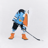Dance Celebrating GIF by Pelicans Lahti