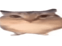 Ba Boi GIF