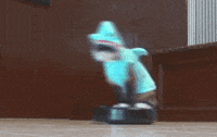 friday april edition fool tigerdroppingscom GIF