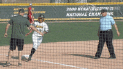 north dakota state bison GIF by NDSU Athletics