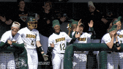 north dakota state bison GIF by NDSU Athletics