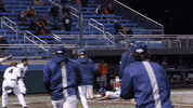 NevadaWolfPack happy celebration baseball high five GIF