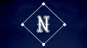 Baseball Softball GIF by Nevada Wolf Pack
