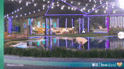 Cbs Love GIF by LoveIslandUSA