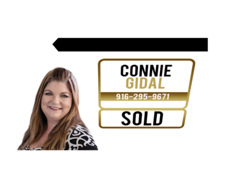 Connie Gidal Sticker by Swan Letting