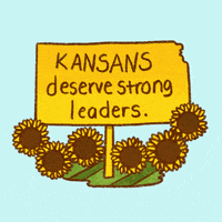 Vote Early Election 2020 GIF by Creative Courage