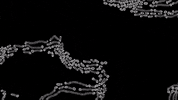 Black And White Vibes GIF by Soccer Mommy