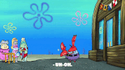 season 9 safe deposit krabs GIF by SpongeBob SquarePants