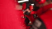 Come On Lol GIF by Formula Santander