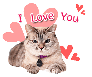 nalacat whitecoffeecat Sticker