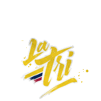 Qatar 2022 Futbol Sticker by PilsenerEC
