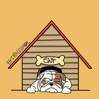 English Bulldog Dog GIF by makala9_