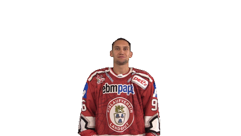 David Zucker Landshut Sticker by EVL Spielbetrieb GmbH