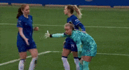 Lets Go Team GIF