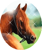 Pony Horse Girl Sticker by feeble little horse