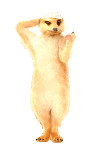 spliffseeds amnesia meercat amnesiac spliffseeds Sticker