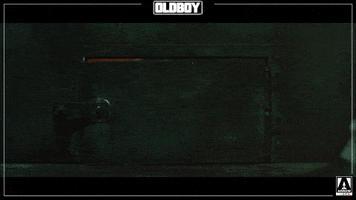 Chan-Wook Park Movie GIF by Arrow Video