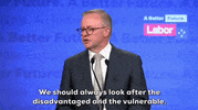 Victory Albo GIF by GIPHY News