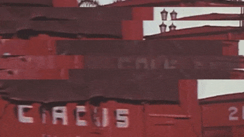 Art Video GIF by jorgemariozuleta